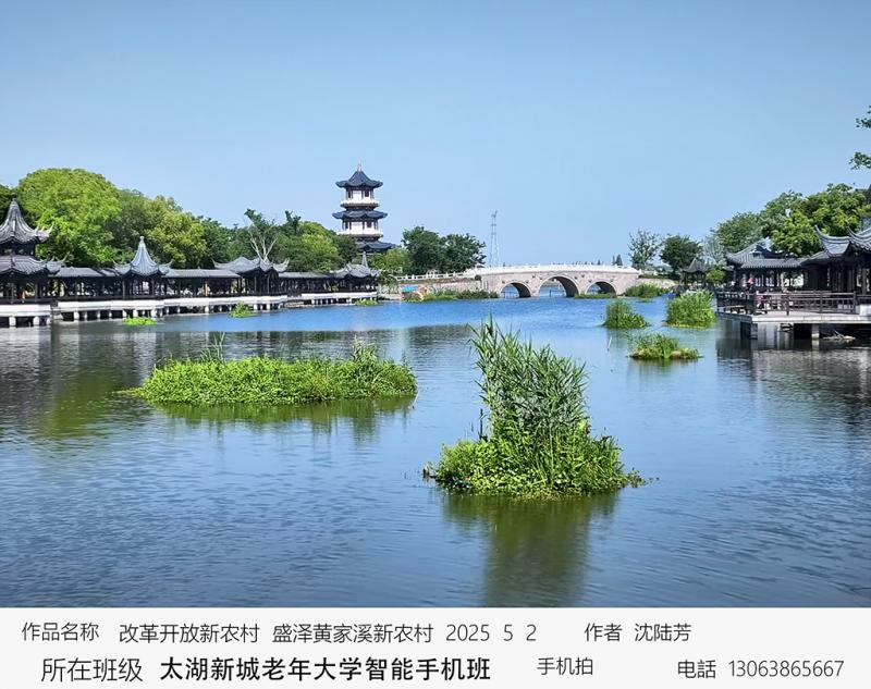 7-改革开放新农村 沈陆芳.jpg